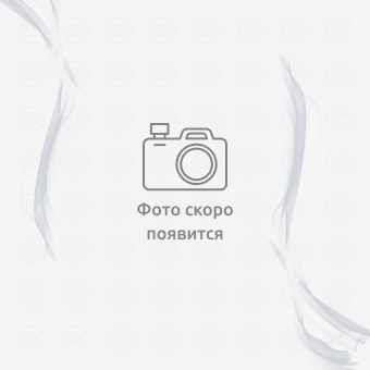 Духовой шкаф Гефест ЭДВ ДА 622-04 Б S